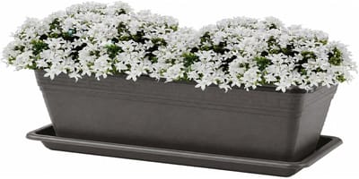 Plasticforte Plantenbak met water opvangschotel - antraciet - rechthoek - 60 x 20 x 15 cm - balkon - terras - kunststof