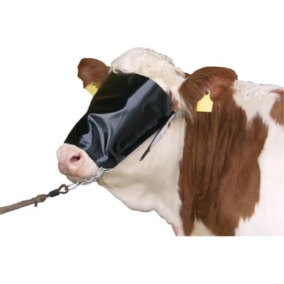 Oogstuk met koeienneusband Kerbl
