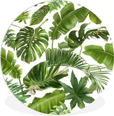WallCircle® Wandcirkel 150x150 cm - Muurcirkel Bladeren - Wit - Patroon - Meisjes - Kinderen - Jongens - Kids - Muurdecoratie woonkamer - Wanddecoratie slaapkamer - Kamer decoratie accessoires - Ronde schilderijen