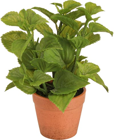 Munt in Pot Kunstkruiden Kunstplanten 18cm 2st, 2 Stück