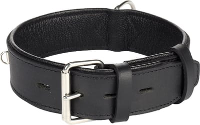 Flamingo Seattle Gevoerd;breed - Halsband Honden - Halsband Seattle Zwart M/l 44-54cm 40mm - 1st - 124280 - 1st