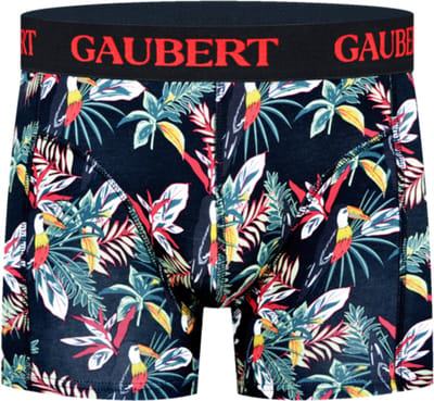 6 stuks GAUBERT® Bamboe Heren Boxershort | Premium comfort, ademend en duurzaam | thema: Tropical