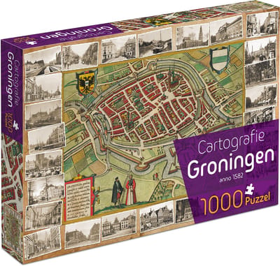 Cartografie Groningen (1000) - Tucker's Fun Factory Legpuzzel