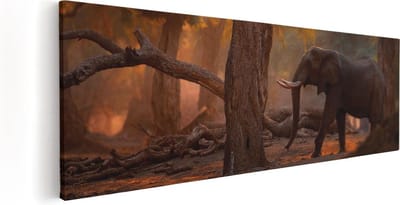 Artaza Canvas Schilderij Olifant Afrika - 60x20 cm - Wanddecoratie Woonkamer - Muurdecoratie Dieren - Kamer Accessoires