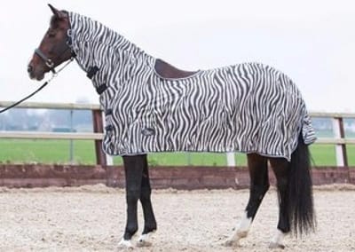 Harry's Horse Vliegendeken mesh, hals en zadeluitsparing, zebra gray 215cm
