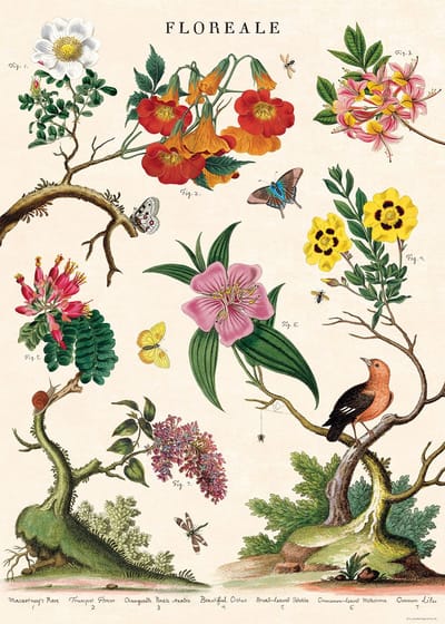 Poster Floreale - Cavallini & Co - Vintage schoolplaat - Posters