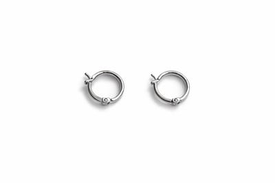 Mini oorringen | zilver gekleurd