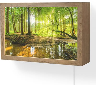 Wandlamp 30x20 cm - Oplaadbaar - Bos - Landschap - Water - Bomen - Zon - Groen - Natuur - Wandlampen binnen woonkamer - Slaapkamer lamp met kabel - Decoratieve nachtlamp - Vloerlamp snoer