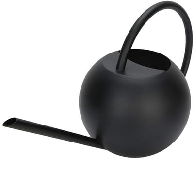 Dailygoods- Gieter 1 Liter - Gieter Klein - Gieter Kamerplanten - Gieter Roestvrij Staal - Gieter met Lange Uitloop - Ergonomische Handgreep - Plantenbewateringscan