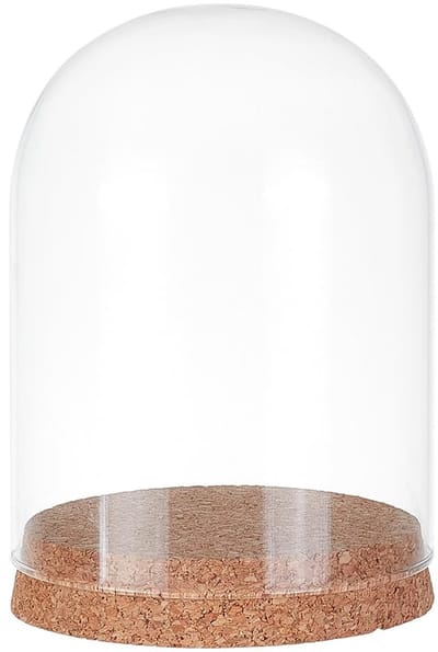 Dailygoods- Glazen Stolp 13.4x10cm - Decoratieve Pot - Kurk Basis - Bloemplanten - Specimens - Ambachten Decoraties