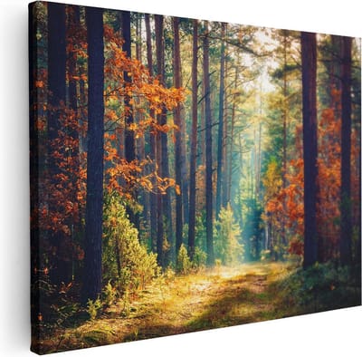 Artaza Canvas Schilderij Herfstbos - 40x30 cm - Klein - Wanddecoratie Bomen - Muurdecoratie Landschap - Kamer Accessoires Natuur
