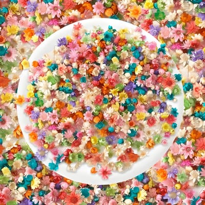 Dailygoods - 420 Stuks Mini Drogen Bloemen voor Creatief Gebruik - Perfect voor Resin en Decoratie