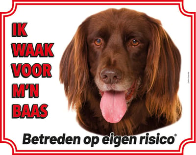 Duitse Staande Langhaar waakbord