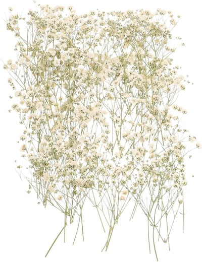 Gedroogde Bloemen - Baby's Adem - Decoratie Boeket - Natuurlijke Materialen - 80 Takjes - Natuurlijk