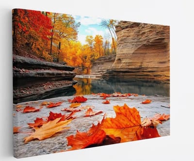 Saammp Canvas Schilderij - Rode Bladeren op steen - Natuur - Landschap - 45x30 - Foto op canvas - Wanddecoratie - Muurdecoratie Woonkamer - Slaapkamer decoratie - Canvas Print
