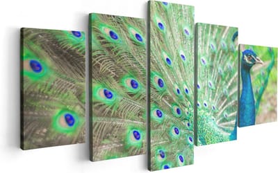 Artaza Canvas Schilderij Vijfluik Pauw Met Kleurrijke Veren  - 100x50 - Foto Op Canvas - Canvas Print