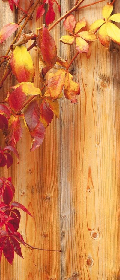 Deursticker Muursticker Hout | Geel | 91x211cm