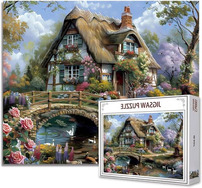 Legpuzzel 1000 stukjes - Volwassenen puzzel knutselen - Ontspannen thuis - Gerecycled karton - 70 x 50 cm - Straat landschap