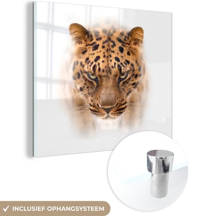 MuchoWow® Glasschilderij 50x50 cm - Schilderij acrylglas - Panter - Portret - Wit - Foto op glas - Schilderijen