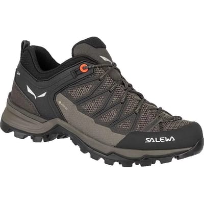 Dameswandelschoenen Salewa Mtn Lite