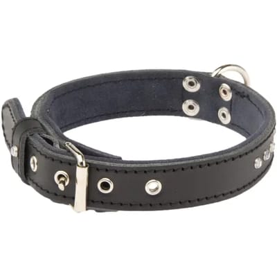 Hondenhalsband Martin Sellier Class