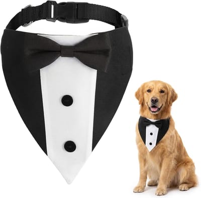 Stijlvolle Tuxedo Hondenhalsband met Strik, Verstelbare Trouwbandehalsband voor Middelgrote en Grote Honden (Zwart)