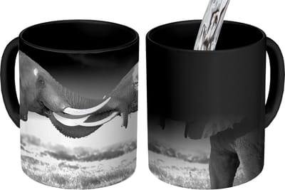 Magische Mok - Foto op Warmte Mokken - Koffiemok - Olifant - Dieren - Zwart wit - Portret - Landschap - Magic Mok - Beker - 350 ML - Theemok