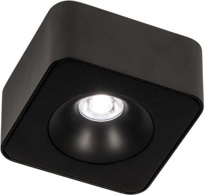 Lumidora Opbouwspot 75055 - NEWCASTLE - Ingebouwd LED - 5.0 Watt - 400 Lumen - 2700 Kelvin - Zwart - Metaal - Badkamerlamp