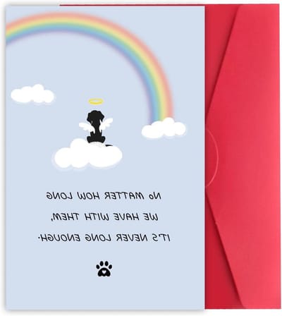Sympathiekaart Hond - Hondenverlieskaart Rouwkaart - Condoleren Verlies - Regenboogbrug Ontwerp - 20.5 x 13.5 cm - Niet gespecificeerd