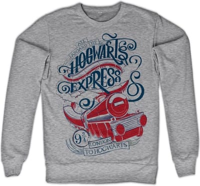 Harry Potter Sweater/trui -S- All Aboard The Hogwarts Express Grijs