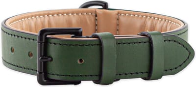Brute Strength - Luxe leren halsband hond - Donker groen - XL - (56 - 63) x 3,5 cm - honden halsband - hondenhalsband - halsband hond leer - leren honden halsband - stoere honden halsband - leren hondenhalsband