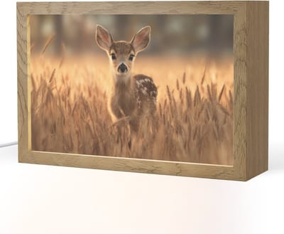 Nachtlampje 30x20 cm - Kinder lampje - Hert - Graanveld - Bruin - Tafellamp kinderkamer - Slaapkamer lamp - Bedlamp kinderen - Kinderlampje stopcontact - Wandlamp babykamer - Nachtlampjes