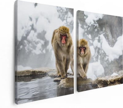 Artaza Canvas Schilderij Tweeluik Twee Aapjes In De Sneeuw Op Rotsen - 120x80 - Foto Op Canvas - Canvas Print