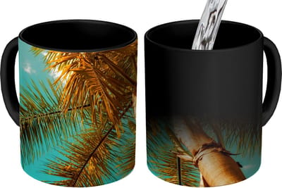 Magische Mok - Foto op Warmte Mokken - Koffiemok - Palm - Zomer - Tropisch - Magic Mok - Beker - 350 ML - Theemok