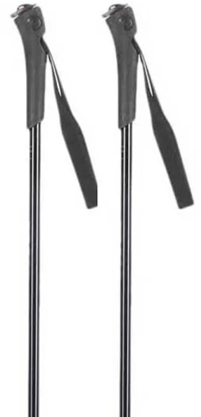 Rossignol Ft-501 Junior Stokken Zilver 80 cm Kinderen