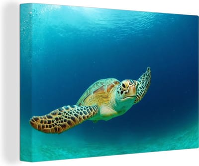 Canvas Schilderij Close-up foto van groene zeeschildpad - 30x20 cm - Wanddecoratie