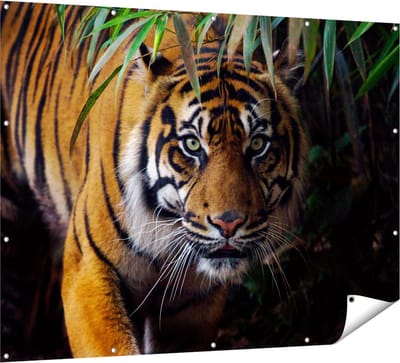 Gards Tuinposter Tijger in de Jungle - 160x120 cm - Tuindoek - Tuindecoratie - Wanddecoratie buiten - Tuinschilderij