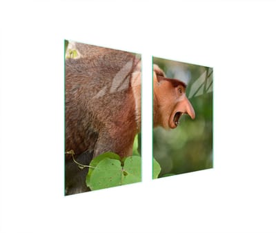 TMK ArtDeko Serie - Glazen Beschermplaat - 65x52cm - Gehard Glas - Multicolor