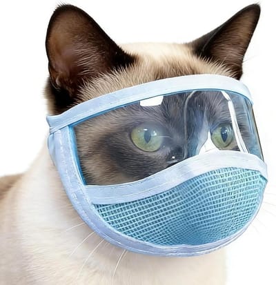 Katten Muilkorf - Kattenkap - Vachtverzorging - Verbeterde luchtstroom - 8x5x0.5cm - Zwart