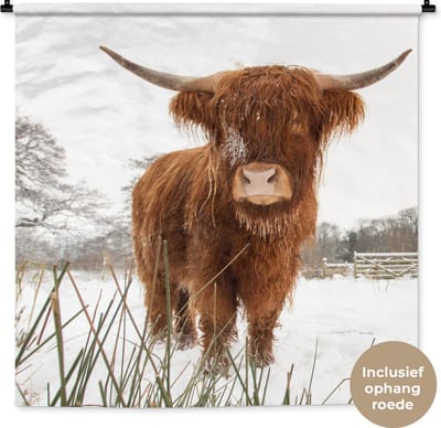 Wandkleed Schotse hooglander - Schotse hooglander in de winter Wandkleed katoen 150x150 cm - Wandtapijt met foto
