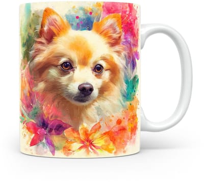 Beker Dwergspitz (Pomeranian)