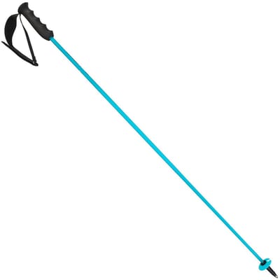 HEAD - worldcup rebels carbon - Skistokken heren - Blauw