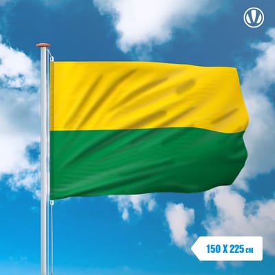 Vlag Den Haag 150x225cm