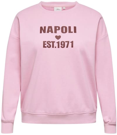 ONLY CARMAKOMA - CARSILDA LS SLEEVE O-NECK SWEAT JRS Dames Trui