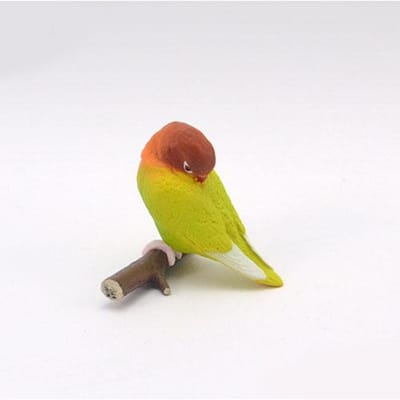 Goedemorgen Vogel Serie Gashapon Speelgoed Parkiet Kaketoe Agapornis Actiefiguur Figuur Ornamenten Speelgoed 4cm--9cm