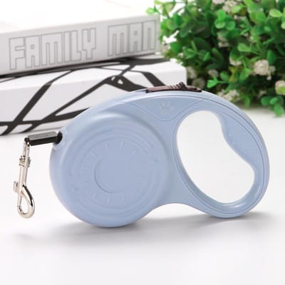 Laisse pour chien de 5 m pour petits chiens et chats de taille moyenne, randonnée en plein air, chiot, corde extensible automatique durable, fournitures pour chiens de compagnie gris
