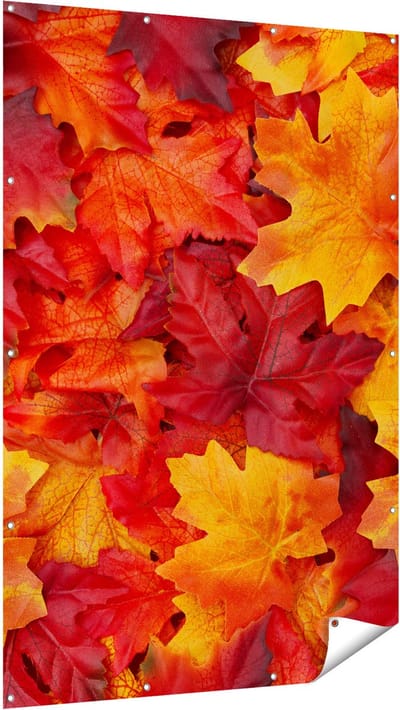 Gards Tuinposter Herfstbladeren in het Oranje en Rood - 120x180 cm - Tuindoek - Tuindecoratie - Wanddecoratie buiten - Tuinschilderij