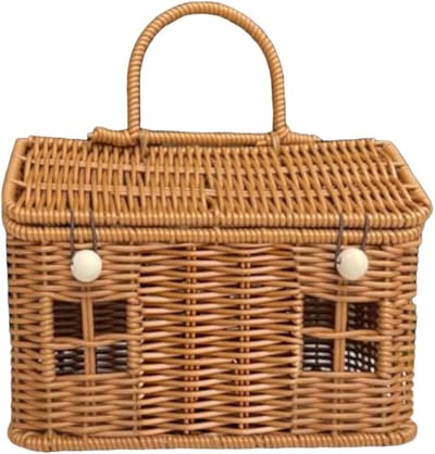 Rieten Mand - Huisvorm Organizer - Alledaagse Organisatie - Draagbaar Handvat - 17x15x17 cm - Natuurlijk