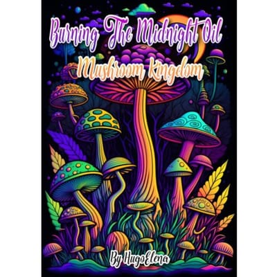 Burning The Midnight Oil: Mushroom Kingdom - Dhr Hugo Elena
