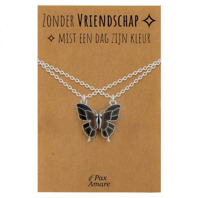 BFF Ketting voor 2 'Zonder Vriendschap mist een dag zijn kleur' - Vlinder VERANDERT VAN KLEUR - Vriendschapsketting op Cadeau Kaartje - 45cm + 5cm verstelbaar - Zilverkleurig - Best Friends Hanger - Pax Amare